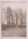 Delcampe - Le Portereau Des Landes , St Sébastien Sur Loire * 11 Photos Anciennes Albuminées Circa Vers 1900 Format 12x9cm - Saint-Sébastien-sur-Loire