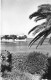 FRANCE - 06 - BEAULIEU SUR MER - La Villa Grecque - Carte Postale Ancienne - Beaulieu-sur-Mer