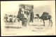 Chameaux Avec Palanquins Geiser Maroc Oriental Région Sud Poste De Bou Denib - Scènes & Types