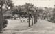 RAMSEY -BOWLING GREENS AND PALM AVENUE - Man (Eiland)