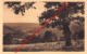 Vue Sur La Semois - Auby-sur-Semois - Bertrix