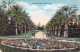 USA - Palm Walk - California - Carte Postale Ancienne - Other & Unclassified