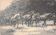 MILITARIA - BRASSCHAET POLYGONE - Douze Chevaux De Nation Tirant Un Chariot Avec Un Canon De 28c- Carte Postale Ancienne - Equipment