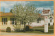 Kelowna BC Canada Old Postcard - Kelowna