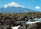 CHILE - PICTURE POSTCARD 1982 - HAMBURG/DE / *1062 - Chile
