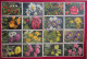 Lot 120 Cartes Postales Fleurs Et + 8 Fruits Switzerland éditeur Phot E. Gyger Abelboden Franco Port France Métro TBe - Collections & Lots