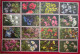 Delcampe - Lot 120 Cartes Postales Fleurs Et + 8 Fruits Switzerland éditeur Phot E. Gyger Abelboden Franco Port France Métro TBe - Collections & Lots
