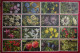 Delcampe - Lot 120 Cartes Postales Fleurs Et + 8 Fruits Switzerland éditeur Phot E. Gyger Abelboden Franco Port France Métro TBe - Collezioni E Lotti