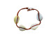 Cowrie Shell Handmade Bracelet - 20.5 Cm Long - Armbanden