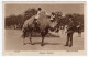 LONDON ZOO - Camel Riding - Photo. F.W. Bond - Hippopotames
