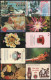 Phonecards Lot (86 Pcs) - Colecciones