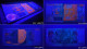 Delcampe - De La Rue / KBA Giori - Set Of 9 Different Types Of Leonardo Da Vinci Specimen Test Notes - Fiktive & Specimen