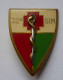 INSIGNE 32° SIM,  Section D'Infirmiers Militaires -  DRAGO PARIS G 1780 - Services Médicaux