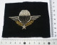 ECUSSON TISSU BREVET PARACHUTISTE - Fil Argenté Eet Doré - Patches