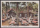 Gaststätte Witschofska Im Spreewald Farblichtdruckkarte SoSt. Lübbenau Tracht Spreewälderin Auf Boot, 1951 - Luebbenau