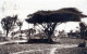 MOGADISCIO - Giardini Pubblici - Vgt. 1929 (di Interesse Filatelico) - Somalia