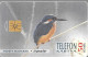 CARTE-PUCE-HONGRIE1994-MARTIN PECHEUR-TBE- - Songbirds & Tree Dwellers