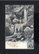 16345-TASMANIA-AUSTRALIA-.OLD POSTCARD DEVONPORT To ST.NAZAIRE (france) 1906.Carte Postale AUSTRALIE - Cartas & Documentos