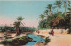 ALGERIE - Chemin Dans L'Oasis - Colorisé - Animé - Palmiers - Carte Postale Ancienne - Scènes & Types