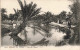 ALGERIE - Scènes Et Types - Vue Sur L'Oued - LL - Oasis - Palmiers  - Carte Postale Ancienne - Scènes & Types