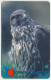 KYRGYZSTAN KYRGYZ TELECOM 50 UNITS CHIP TELECARTE FAUNA BIRD OF PREY - FALCON - VERY GOOD USED - Kirguistán