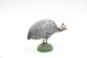 Elastolin, Lineol Hauser, Animals Guineafowl N°4086, Vintage Toy 1930's - Figurines