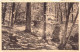 BELGIQUE - SPA - Promenade Meyerbeer - Carte Postale Ancienne - Spa