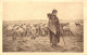 AGRICULTURE - ELEVAGE - Troupeau De Moutons - Carte Postale Ancienne - Crías