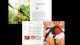 El Arte De La Cocina. Universo De Sabores. Signo Editores. Completo. 12 Volumenes. En Su Caja. Año 2011. - Gastronomy