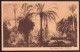 EGYPTE ISMAILIA CANAL COMPANY GARDEN - Ismaïlia