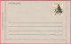 Entier Postal - Australie (Carte-Lettre) - Le Faucon Pèlerin Et Pygargue à Ventre Blanc (Recto-Verso) - Aérogrammes