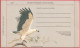 Entier Postal - Australie (Carte-Lettre) - Le Faucon Pèlerin Et Pygargue à Ventre Blanc (Recto-Verso) - Aerogrammi