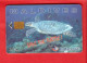 MALDIVES Chip Phonecard - Maldive