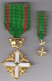 Italie - Ordre National Du Mérite Et Sa Réduction - Italy