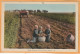 Prince Edward Island Canada Old Postcard - Sonstige & Ohne Zuordnung