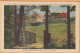 National Park Prince Edward Island Canada Old Postcard - Autres & Non Classés