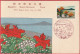 Carte Maximum (FDC) - Japon (15-06-1935 (1960)) - Jardin Fleurs Primitif Parc Quasi-National D'Abashiri (Recto-Verso) - Maximumkaarten