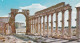 Syria Syrie - Palmyra - Great Colonnade - Syrie