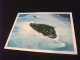 STORIA POSTALE  FRANCOBOLLO MALDIVES VISTA AEREA ISOLA PIEGA - Maldives