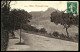 A64  ALGERIE  CPA ORAN - PROMENADE LÉTANG - Collections & Lots