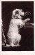 CHIEN - Machiniste - Carte Postale Ancienne - Honden