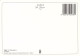 DISNEY - 101 Dalmatiens - Carte Postale Ancienne - Autres & Non Classés
