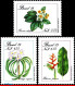 Ref. BR-2168-70 BRAZIL 1989 - PRESERVATION OF FLORA,MI# 2299-2301, SET MNH, FLOWERS, PLANTS 3V Sc# 2168-2170 - Protection De L'environnement & Climat