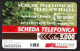 SCHEDA TELEFONICA - ITALIA - TELECOM - 86 VERONAFIL 96 - Öff. Sonderausgaben
