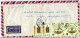 EGYPT  Cover 1991, 2x25p.air (Mi.1638) 2x10p. Statistical Institute (Mi.1722) (BB145) - Briefe U. Dokumente