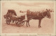 62 BERCK  / Scène De Plage / BELLE CARTE ANIMEE - ANE ATTELE - Greenland