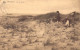 BELGIQUE - Wenduyne - Vue Des Dunes - Carte Postale Ancienne - Wenduine