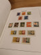 Delcampe - Netherlands MNH 1945-1985 In DAVO Luxe Album - Collections (en Albums)