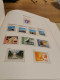 Delcampe - Netherlands MNH 1945-1985 In DAVO Luxe Album - Collections (en Albums)