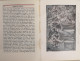 Delcampe - Aristoteles. Ein Unhistorischer Essay. - Poésie & Essais